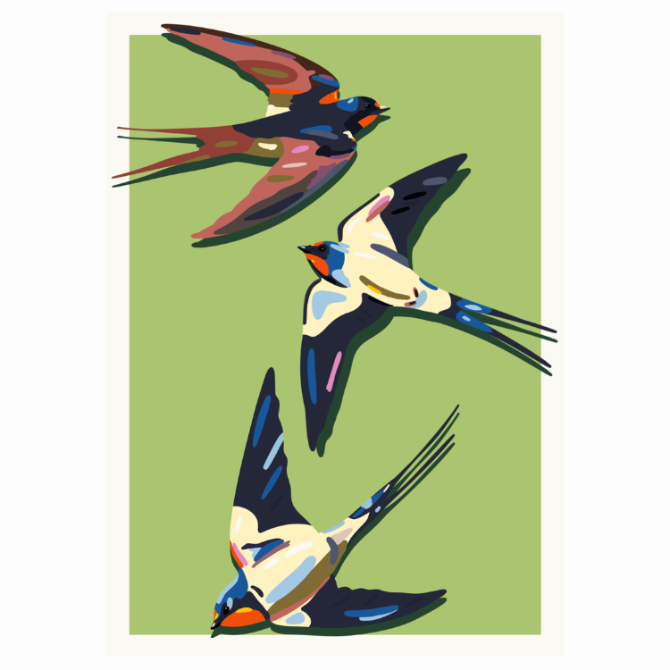 6